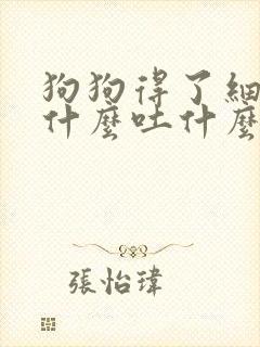 狗狗得了细小吃什么吐什么怎么办