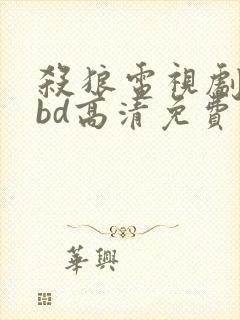 杀狼电视剧全集bd高清免费在线观看