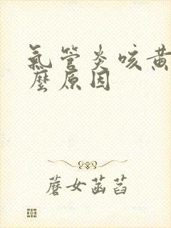 气管炎咳黄痰什么原因