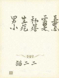 男生私处长了个小疙瘩是怎么回事