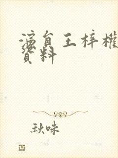 演员王梓权个人资料封面