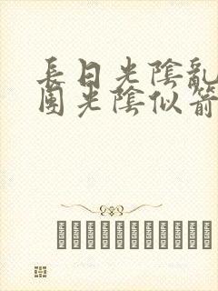 长日光阴乱作一团光阴似箭封面