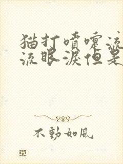 猫打喷嚏流鼻涕流眼泪但是精神好封面