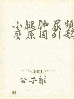 小腿肿尿频是什么原因引起的