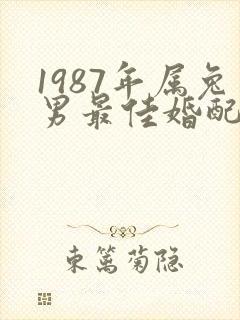 1987年属兔男最佳婚配属相封面