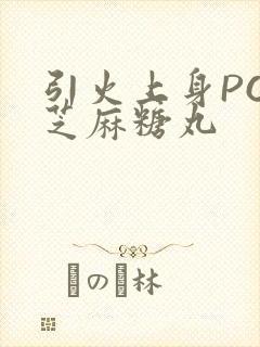 引火上身POP芝麻糖丸