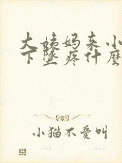 大姨妈来小肚子下坠疼什么原因