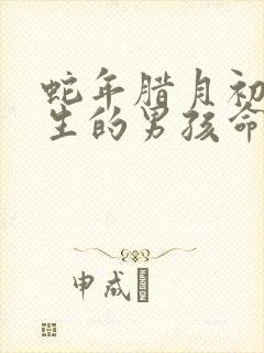 蛇年腊月初二出生的男孩命运