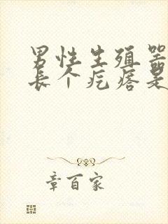 男性生殖器边上长个疙瘩是怎么回事