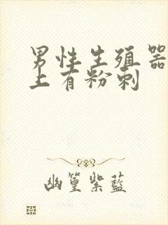 男性生殖器的皮上有粉刺