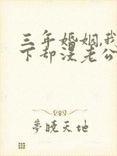 三年婚姻,我名下却没老公短剧免费观看