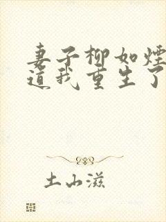 妻子柳如烟不知道我重生了