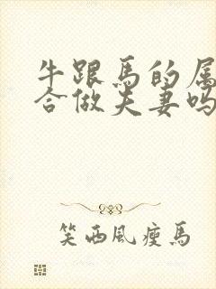 牛跟马的属相适合做夫妻吗