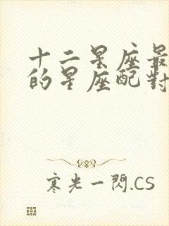 十二星座最匹配的星座配对封面