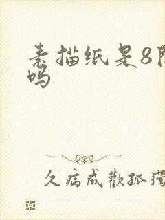 素描纸是8开纸吗