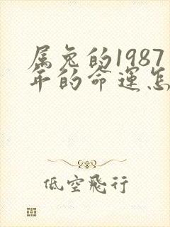 属兔的1987年的命运怎么样