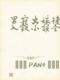 男宠出嫁后玉势入钗小说全文阅读封面