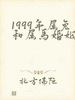 1999年属兔和属马婚姻好吗