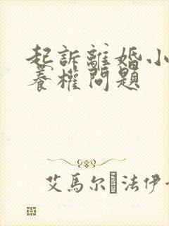 起诉离婚小孩抚养权问题封面