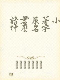 请君原著小说叫什么名字