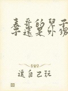 表哥的儿子是侄子还是外甥