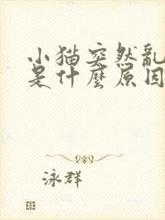 小猫突然乱拉尿是什么原因封面