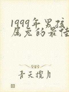 1999年男孩属兔的最佳婚配