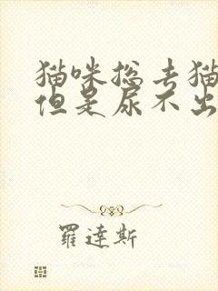 猫咪总去猫砂盆但是尿不出来