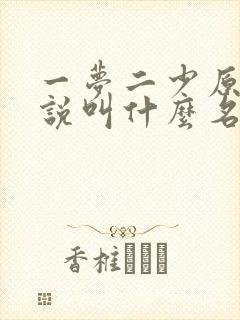 一梦二少原著小说叫什么名字