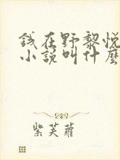 钱在野黎悦原著小说叫什么名字
