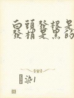 白头发根是白的发梢是黑的