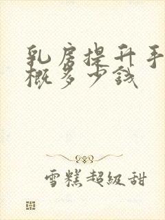 乳房提升手术大概多少钱