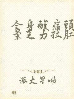 全身酸痛头疼头晕乏力拉肚子