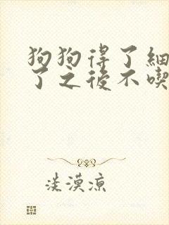 狗狗得了细小好了之后不吃东西怎么办