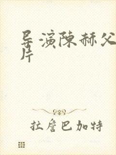 导演陈赫父子照片