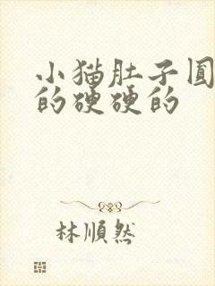 小猫肚子圆鼓鼓的硬硬的