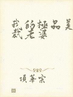 我的极品美女总裁老婆