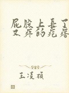 屁股上长了又痒又疼的疙瘩