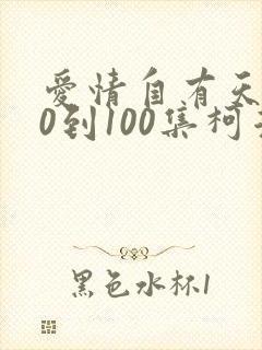爱情自有天意60到100集柯淳