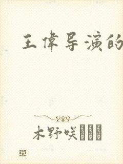 王伟导演的介绍