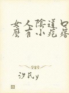 女人阴道口为什么有小疙瘩封面