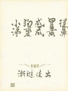 小狗感冒从清鼻涕变成黄鼻涕了