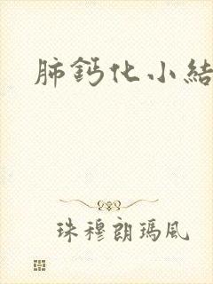 肺钙化小结节灶