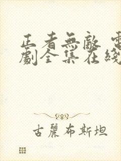 正者无敌 电视剧全集在线看