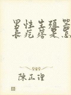 男性生殖器根部长疙瘩是怎么回事