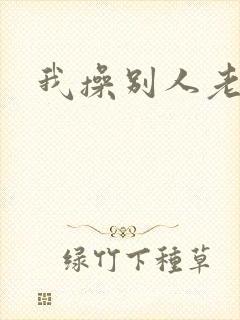 我操别人老婆封面