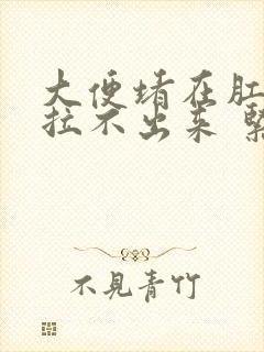 大便堵在肛门口拉不出来 紧急办法