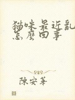 猫咪最近乱拉尿怎么回事