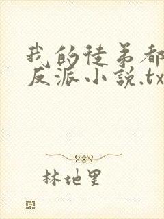 我的徒弟都是大反派小说.txt