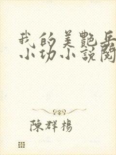 我的美艳岳母朱小功小说阅读